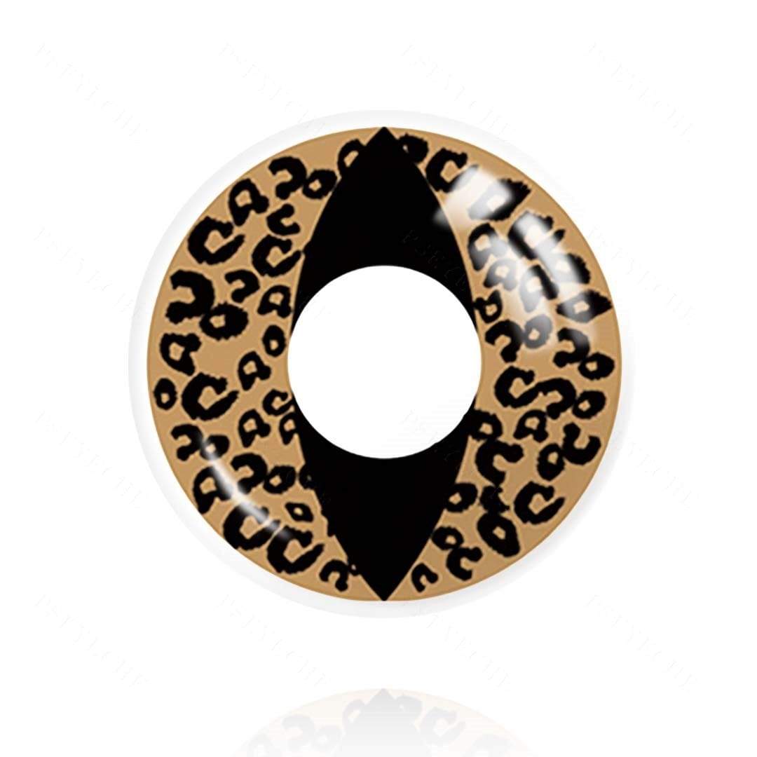 10005_d108ffc0-6929-4dcb-ac92-2c454c7692cc-2